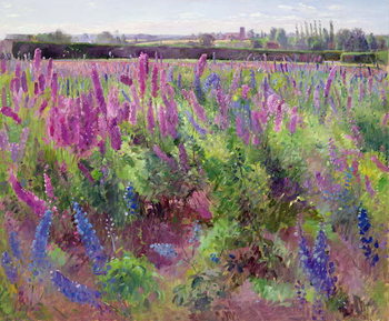 Obraz na płótnie The Delphinium Field, 1991