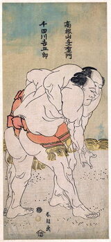Obraz na płótnie The Sumo Wrestlers