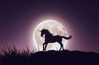 Obraz na płótnie Unicorn