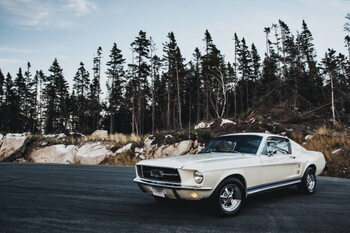 Obraz na płótnie Vintage Muscle Car