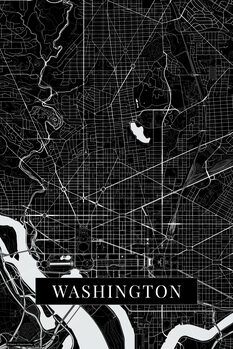 Obraz na płótnie Washington black