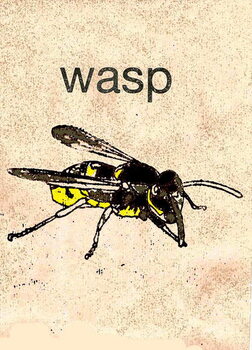 Obraz na płótnie 'Wasp' 2014