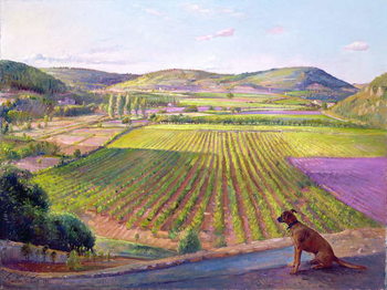 Obraz na płótnie Watching from the Walls, Old Provence, 1993