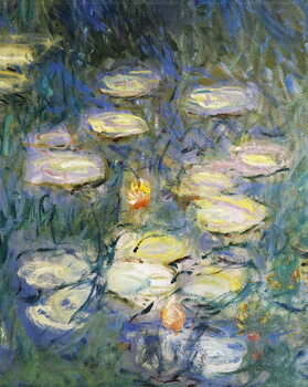 Obraz na płótnie Water Lilies