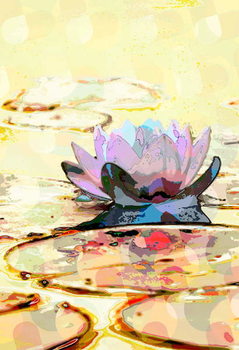 Obraz na płótnie Water Lily