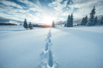 Obraz na płótnie Winter Landscape