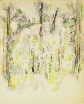 Obraz na płótnie Woodland Scene