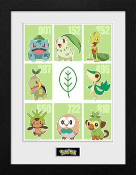 Poster enmarcado Pokemon - First Partner Grass