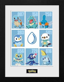 Poster enmarcado Pokemon - First Partner Water