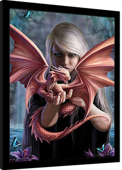 Inramad poster Anne Stokes - Dragonkin