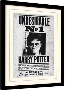 Inramad poster Harry Potter - Undersirable No1