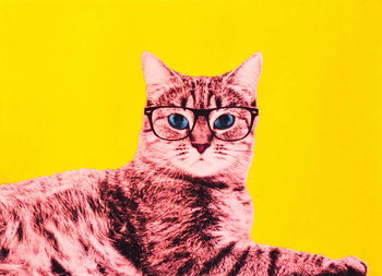 Carta da parati Life in technicolor, 2017,