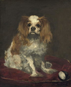 Poster A King Charles Spaniel, c.1866