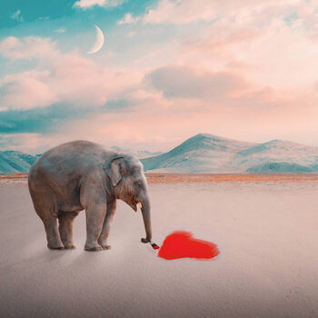 Poster Abstract concept,Side view of elephant standing