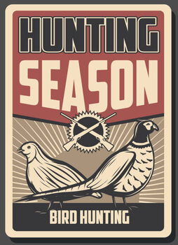 Poster Bird hunting poster. Rifle, pheasant and quail