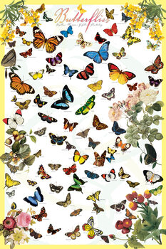 Poster Butterflies