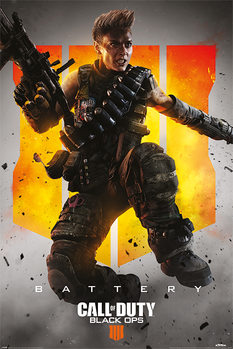 Call Of Duty Poster Und Plakate Online Kaufen Bei Europosters De