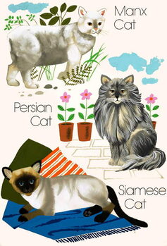 Canvastavla Domestic cats