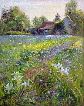 Poster Dwarf Irises and Cottage, 1993