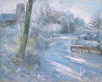 Poster Hoar Frost Morning, 1996