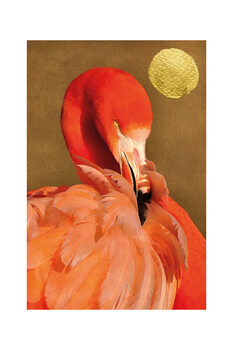 Kunstdruck Kubistika - Flamingo