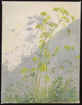 Poster Lovage Against Diagonal Shadows, 1999