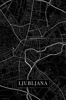 Quadro su tela Lubljana black