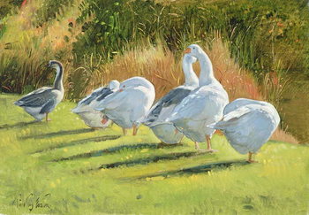 Poster Moat Edge, Bedfield