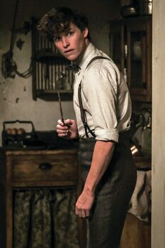 Poster Phantastische Tierwesen - Newt