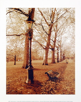 Kunstdruk Restful Autumn I