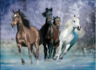 Gerahmtes 3D-Poster Running horses - bob langrish