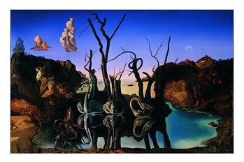 Salvador Dali - Reflection Of Elephants Kunstdruk