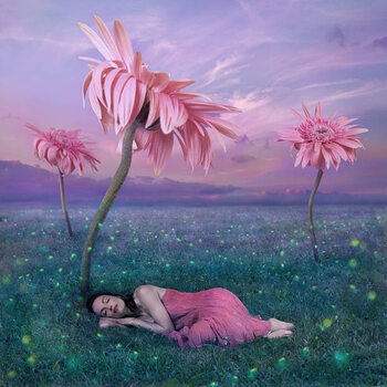 Poster Sleeping in nature