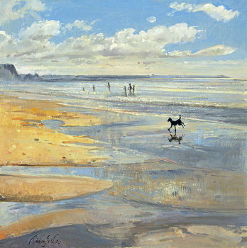 Poster The Little Acrobat