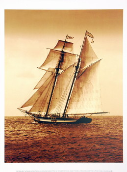 Kunstdruk Under Sail II