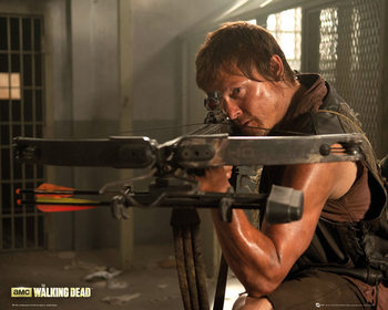 Poster WALKING DEAD - daryl