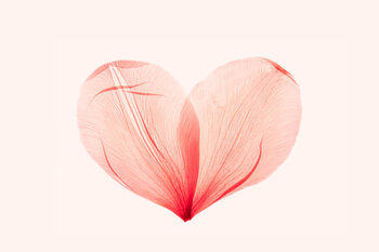 Poster Abstract shape heart from pink red