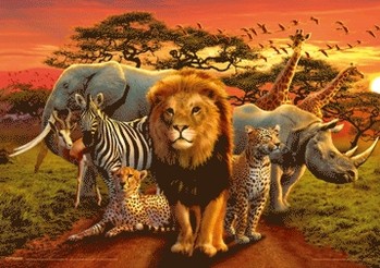 African kingdom Poster 3D
