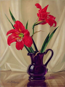 Poster Amaryllis Lillies