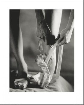 Ballet Shoes Reproducere