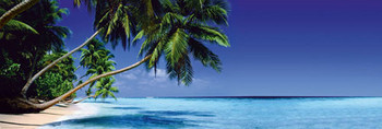 Poster Beach - paradise lost