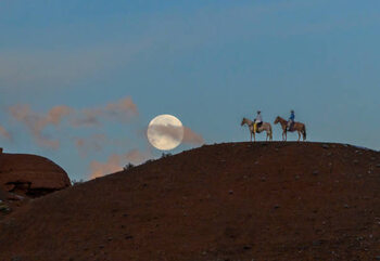 Poster Cowboys Sitting on Their Horses with