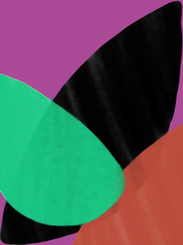 Poster different leaves,2017,