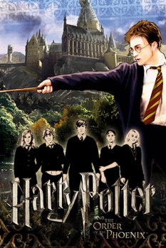 Poster Harry Potter - Friends