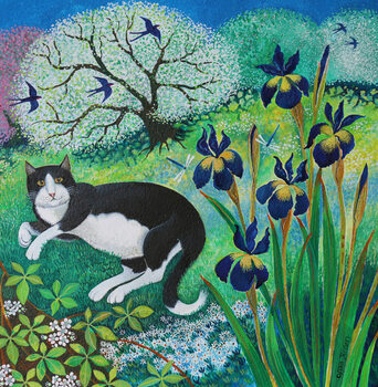Poster Kit's Garden, 2017
