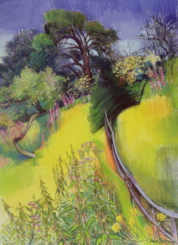 Poster Midsummer