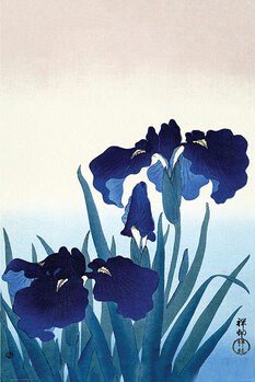 Poster Ohara Koson - Iris Flowers