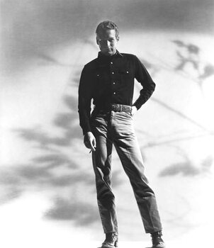 Poster Paul Newman