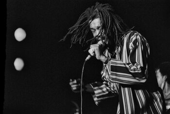 Poster Peter Tosh in concert/Roma, 1980