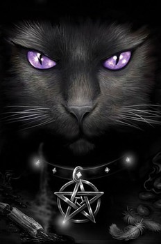 Poster Spiral - magical cat